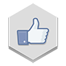 Facebook Like Icon 96x96 png